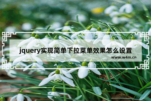 jquery实现简单下拉菜单效果怎么设置,jquery实现简单的下拉菜单