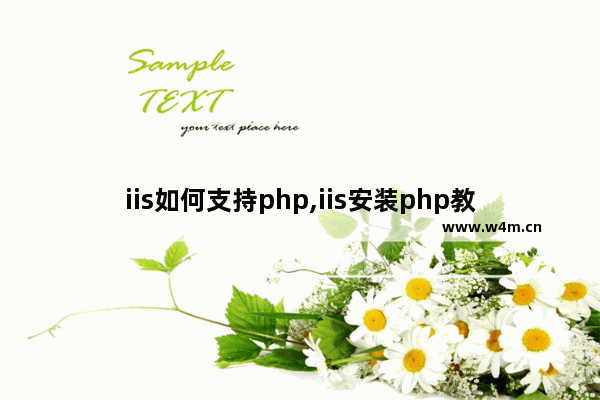 iis如何支持php,iis安装php教程,在IIS下安装PHP扩展的方法 超简单