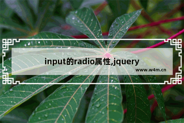 input的radio属性,jquery选择radio,jQuery 操作input中radio的技巧