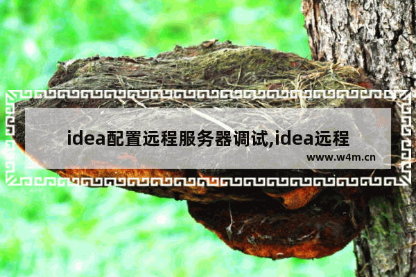 idea配置远程服务器调试,idea远程debug调试