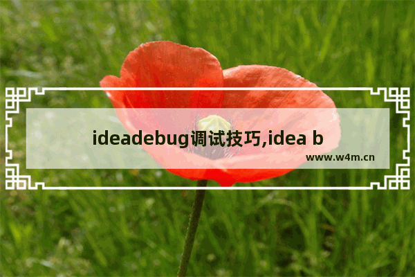 ideadebug调试技巧,idea bug,如何用IDEA调试BUG的几种方法