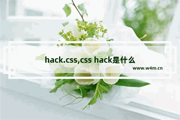 hack.css,css hack是什么意思,CSS hack用法案例详解