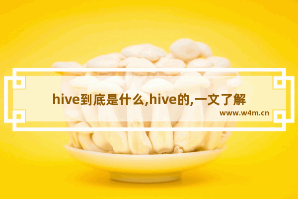 hive到底是什么,hive的,一文了解Hive是什么