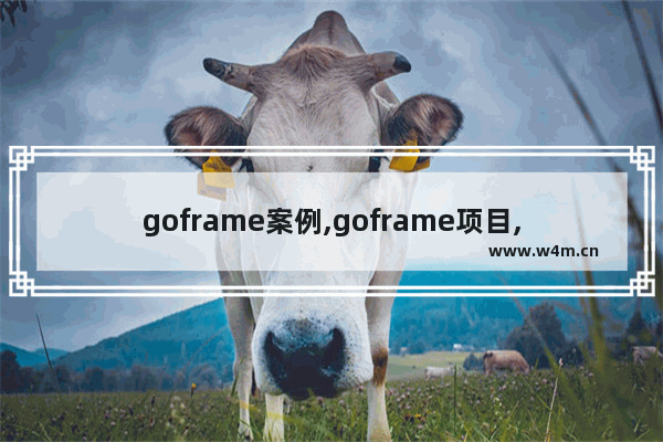 goframe案例,goframe项目,GoFrame框架使用避坑指南和实践干货