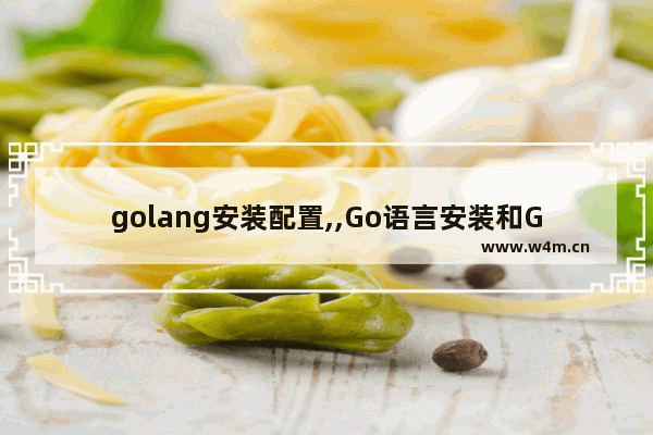 golang安装配置,,Go语言安装和GoLand2021最全超详细安装教程