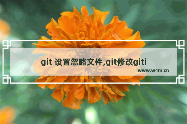 git 设置忽略文件,git修改gitignore不生效