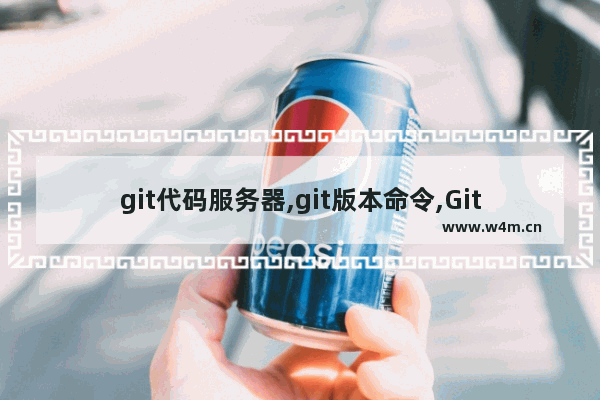 git代码服务器,git版本命令,Git版本控制服务器详解