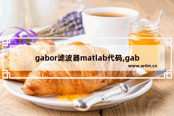 gabor滤波器matlab代码,gabor滤波器 提取特征