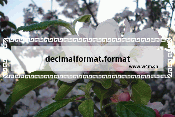 decimalformat.format,decimal的使用,DecimalFormat多种用法详解