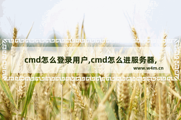 cmd怎么登录用户,cmd怎么进服务器,教你如何用cmd快速登录服务器