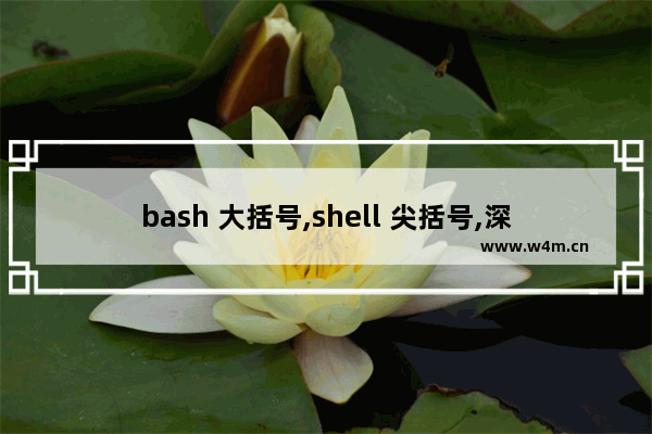 bash 大括号,shell 尖括号,深入理解Bash中的尖括号 适合初学者