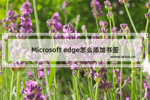 Microsoft edge怎么添加书签,win10 edge收藏夹路径