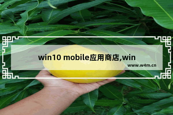 win10 mobile应用商店,windows10 mobile最后更新