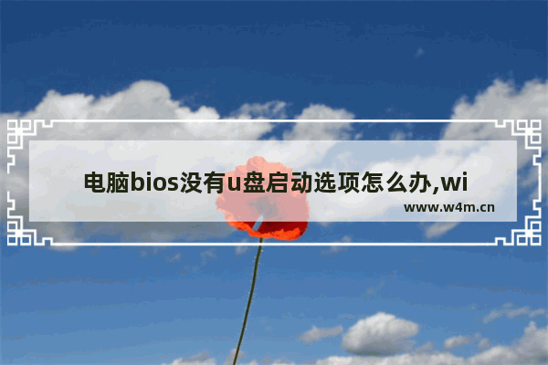 电脑bios没有u盘启动选项怎么办,win10u盘启动bios设置后还是无法启动