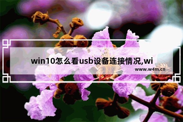 win10怎么看usb设备连接情况,win10如何查看usb使用记录