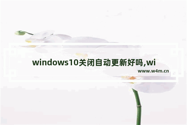 windows10关闭自动更新好吗,win10关闭自动更新还是会更新怎么办