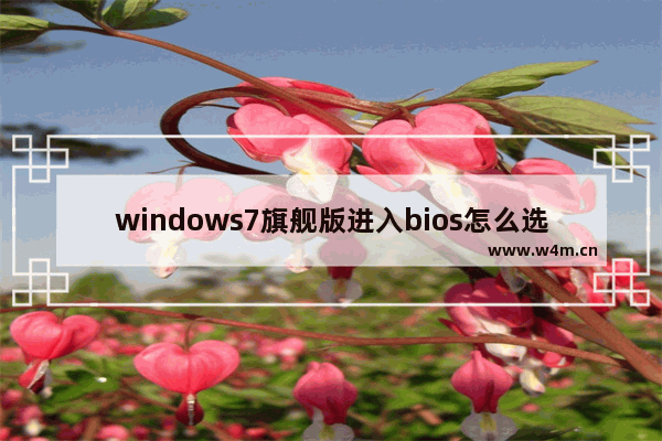 windows7旗舰版进入bios怎么选择,bios win7设置