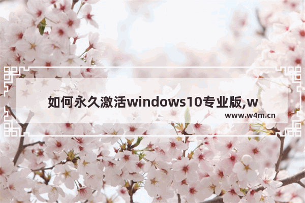 如何永久激活windows10专业版,win10专业版 永久激活_1