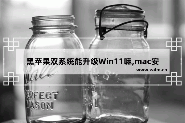 黑苹果双系统能升级Win11嘛,mac安装win11双系统