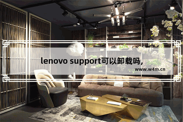 lenovo support可以卸载吗,lenovosystemupdate可以卸载吗