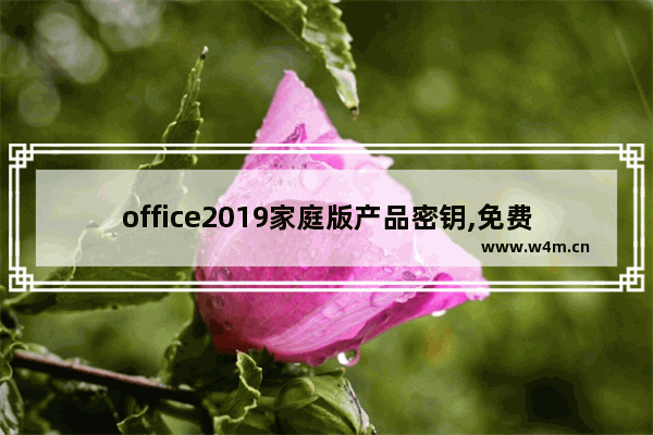 office2019家庭版产品密钥,免费office产品密钥2019