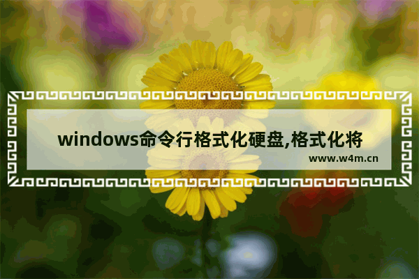 windows命令行格式化硬盘,格式化将清除磁盘中的所有文件