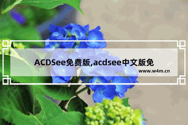 ACDSee免费版,acdsee中文版免费下载