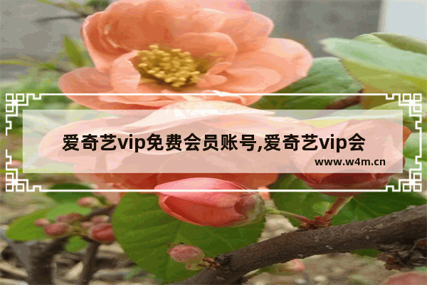 爱奇艺vip免费会员账号,爱奇艺vip会员共享账号