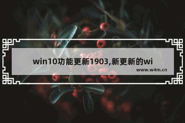 win10功能更新1903,新更新的win10新功能