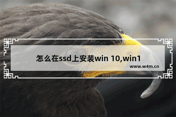 怎么在ssd上安装win 10,win10专业版硬盘安装