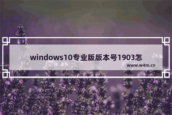 windows10专业版版本号1903怎么激活,msdn win10激活码