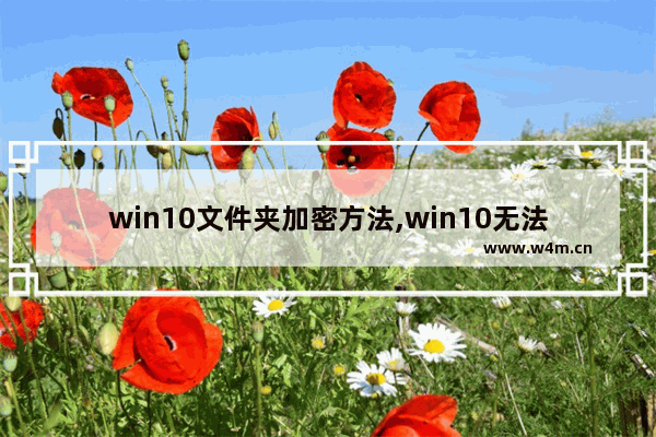 win10文件夹加密方法,win10无法勾选加密文件以保护数据