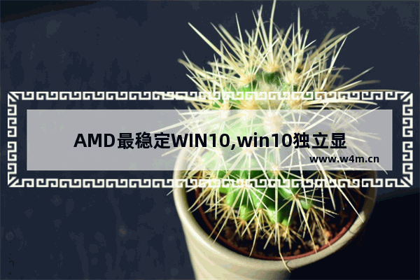 AMD最稳定WIN10,win10独立显卡amd