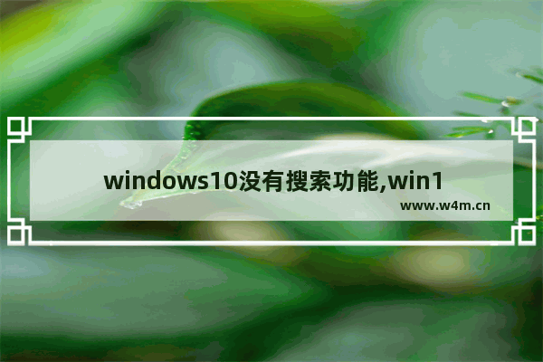 windows10没有搜索功能,win10搜索工具不能用