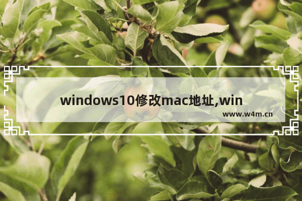 windows10修改mac地址,win10修改mac地址的三种方法