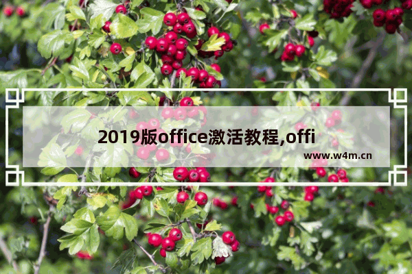 2019版office激活教程,office2019专业版永久激活码