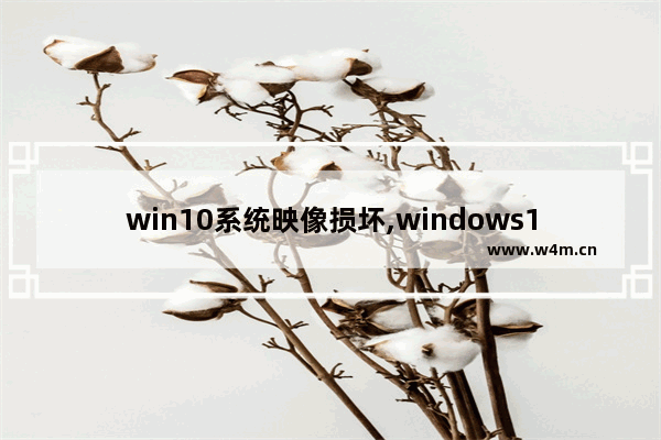 win10系统映像损坏,windows10出现损坏的映像