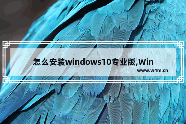 怎么安装windows10专业版,Windows 95安装