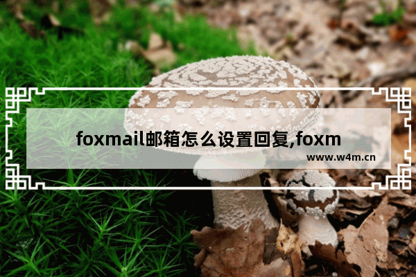 foxmail邮箱怎么设置回复,foxmail怎么自动回复