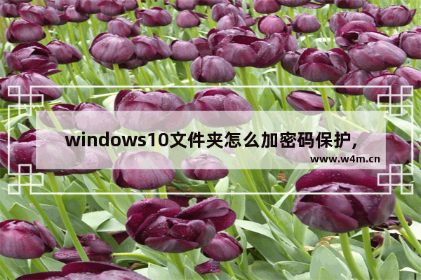 windows10文件夹怎么加密码保护,win10给文件夹设置密码