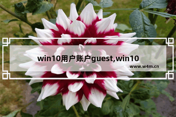 win10用户账户guest,win10怎么开通guest权限