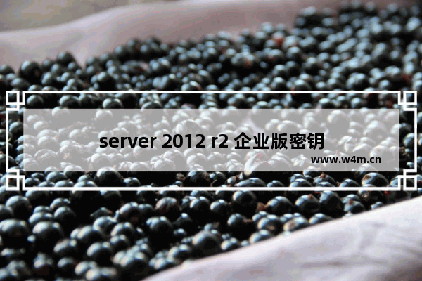 server 2012 r2 企业版密钥,windows server 2008 r2密码