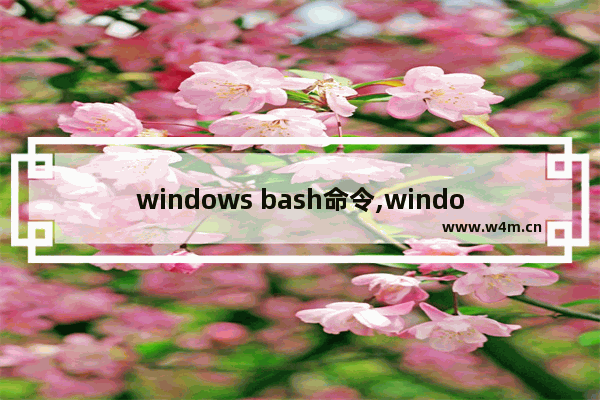 windows bash命令,windows10 bash