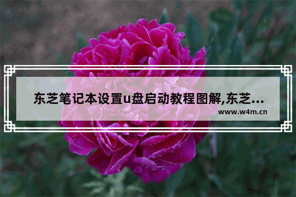 东芝笔记本设置u盘启动教程图解,东芝笔记本怎么设置U盘启动