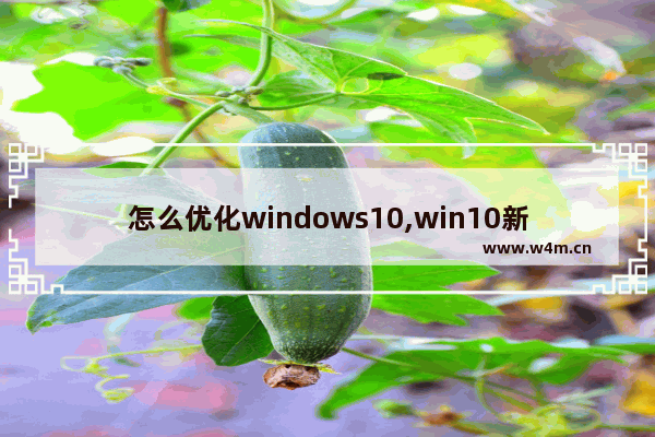 怎么优化windows10,win10新系统怎么优化