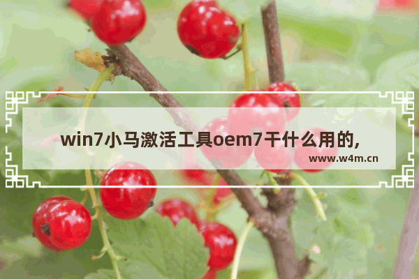 win7小马激活工具oem7干什么用的,小马激活工具OEM9