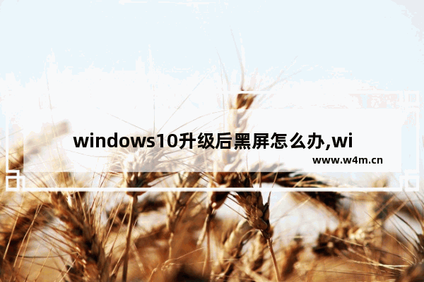 windows10升级后黑屏怎么办,win10系统升级后黑屏怎么回事