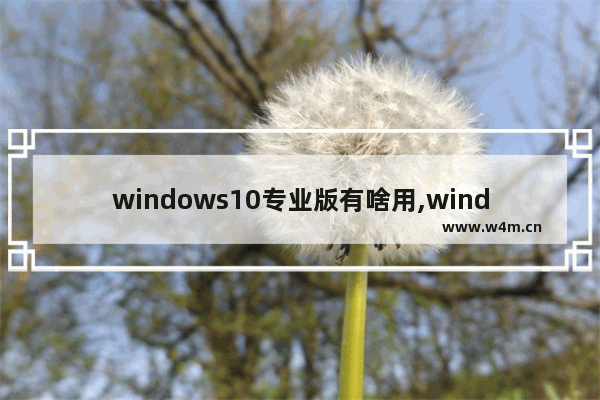 windows10专业版有啥用,windows10专业版好处