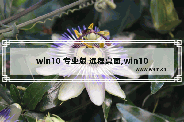 win10 专业版 远程桌面,win10远程桌面开启教程