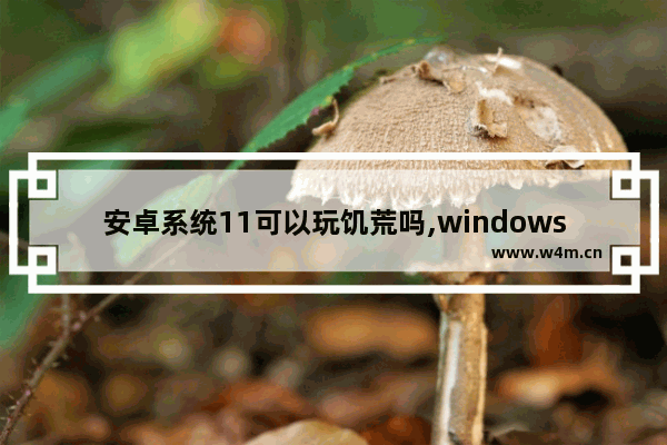 安卓系统11可以玩饥荒吗,windows10